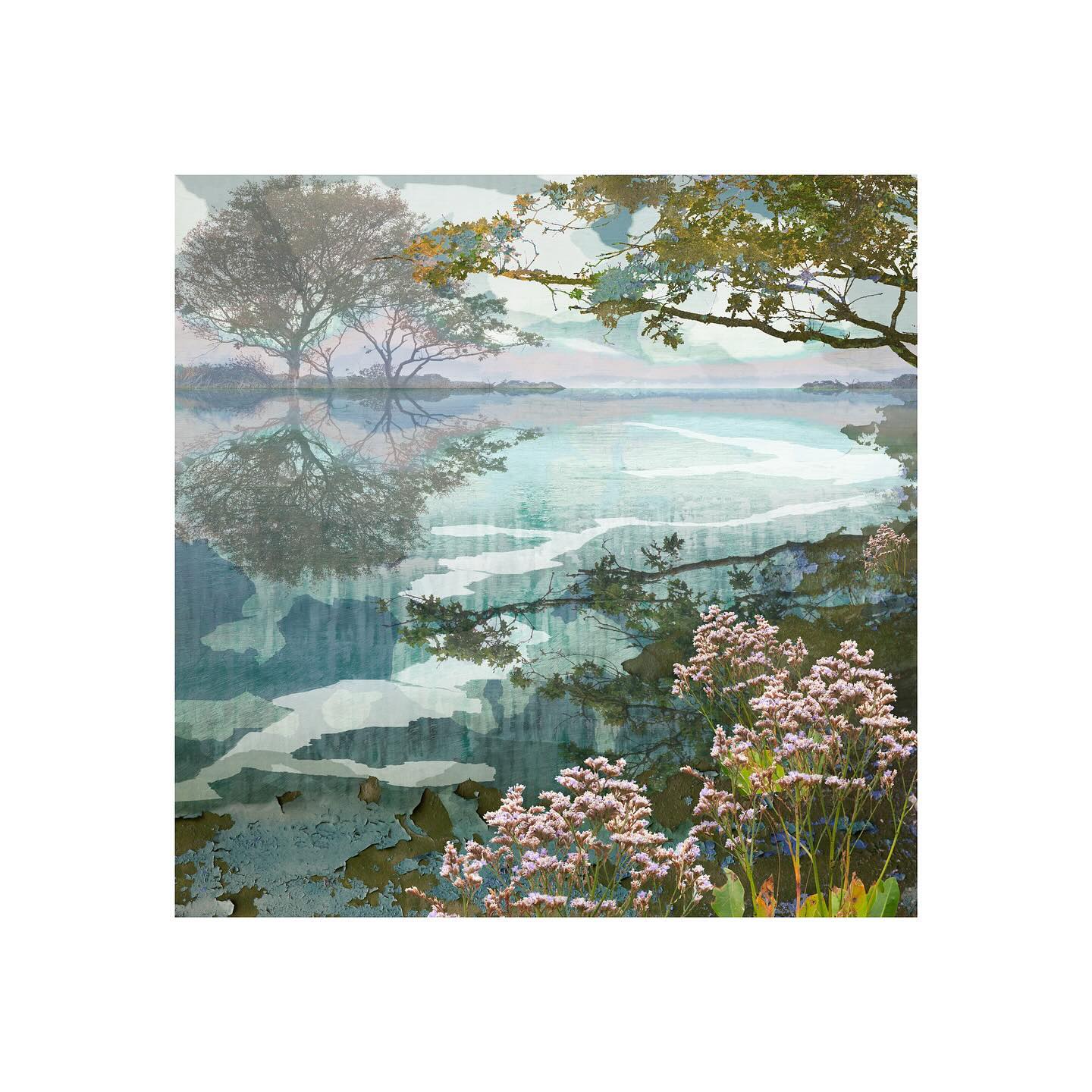 View limited edition original prints