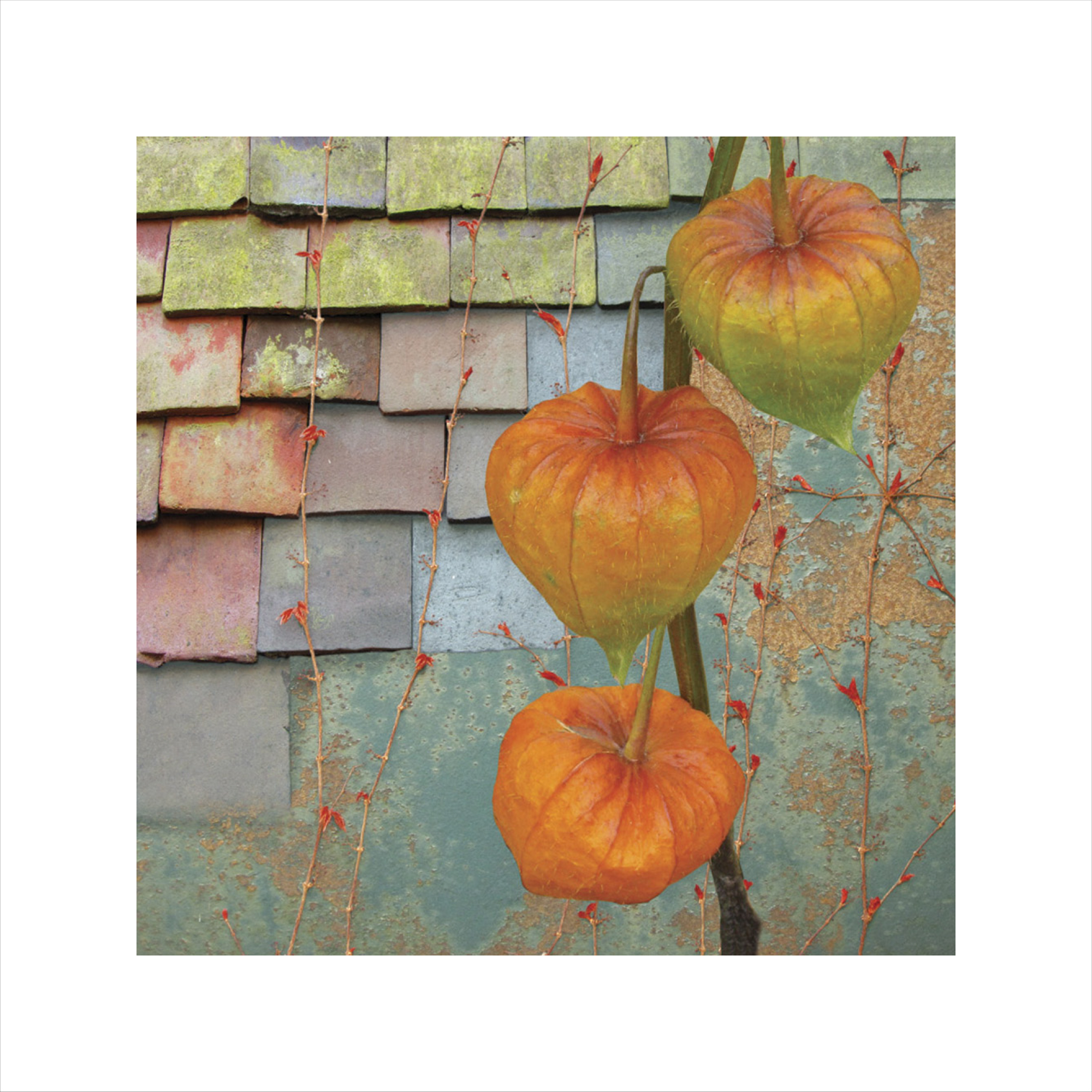 Chinese Lanterns Print, Claire Gill, Artist Claire Gill, Wallscape 13 Limited Edition Print, Limited edition print, wallscapes, buy art, collect art, digital photomontage, Lanterns