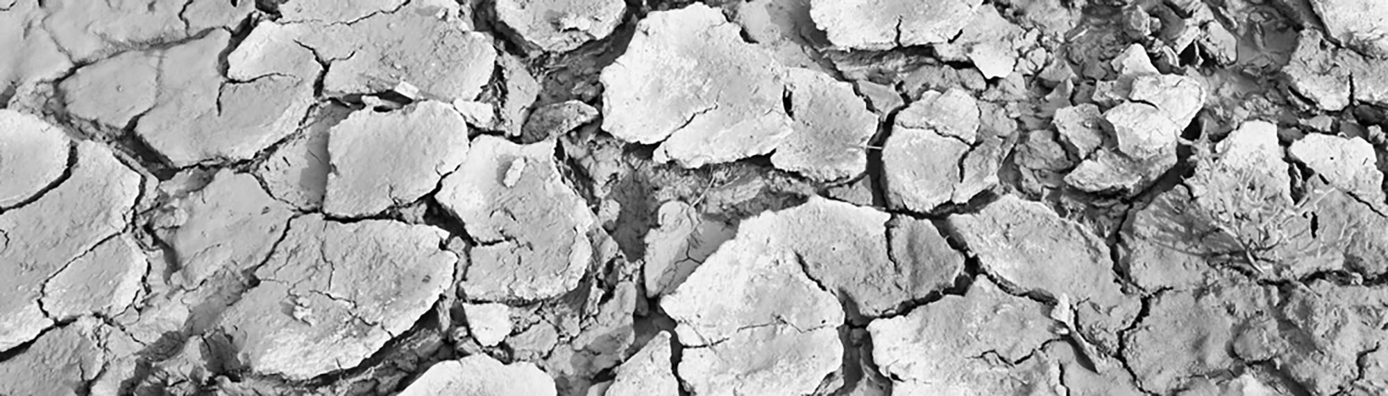 365 day challenge, Claire Gill Fine Art, creating art in the cracks, digital photomontage,