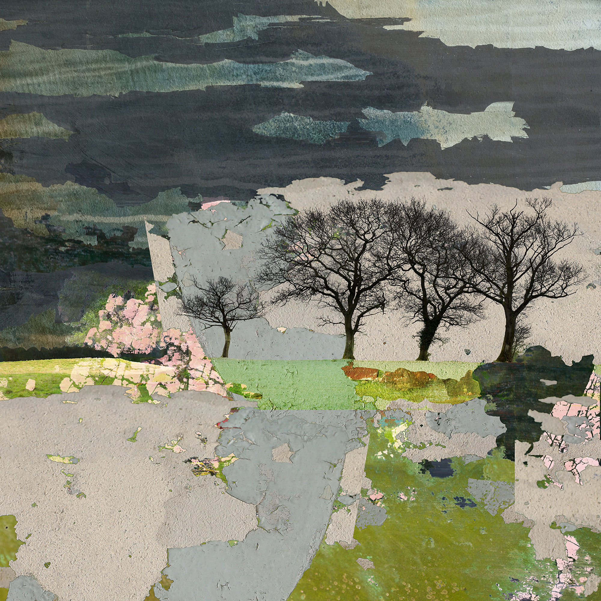 photomontage, trees, landscape, abstract landscape, digital photomontage, claire gill artist, photography