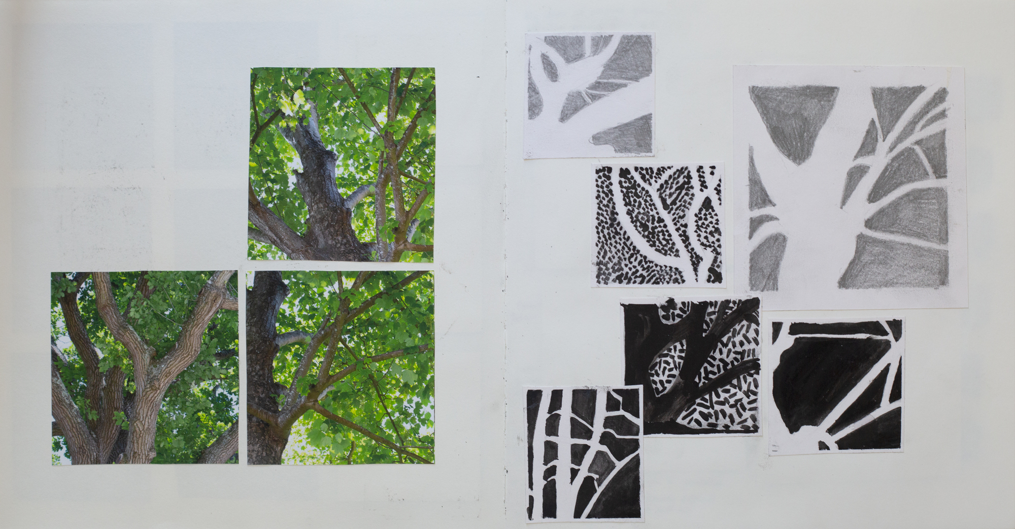 tree studies, drawings, tress, visual inspiration, sketchbook pages, claire gill sketchbook