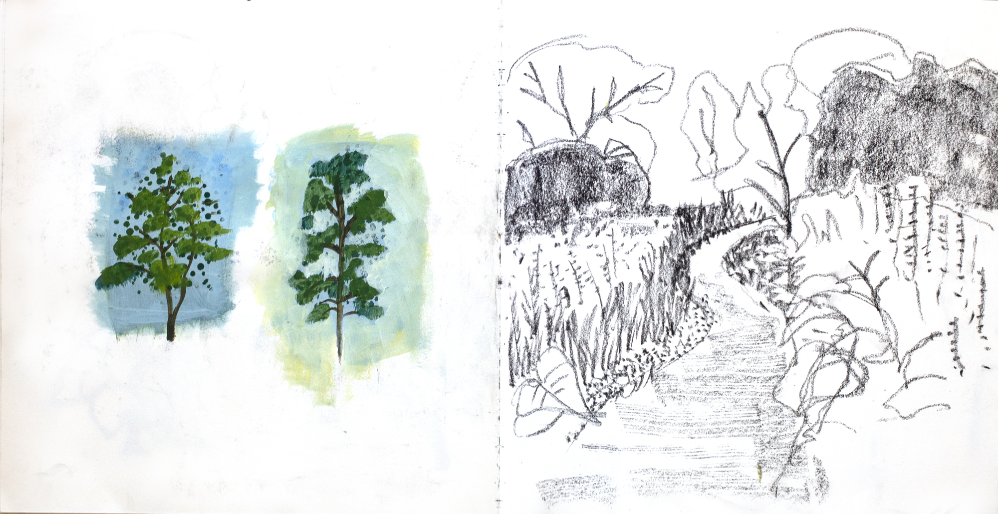 landscape drawing, trees, sketchbook process, trees, landscape project, claire gill sketchbook,