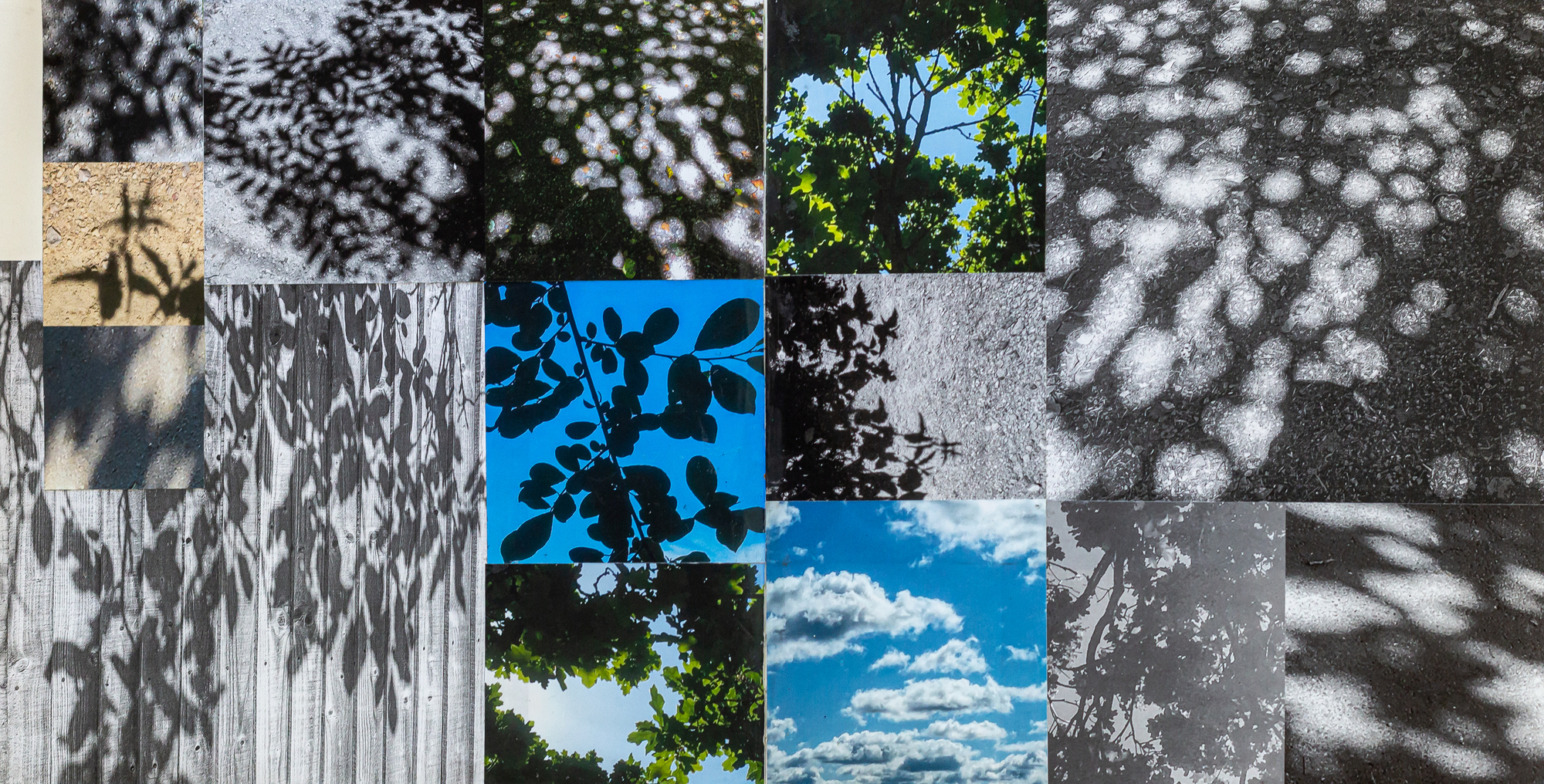 visual research, shadows, leaves, inspiration board, sketchbook, lindfield,claire gill artist
