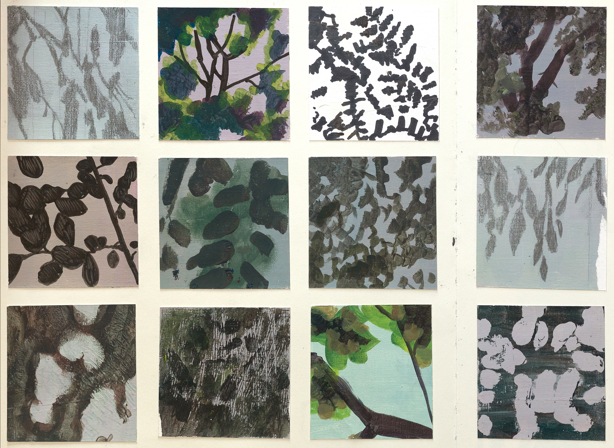 Claire Gill, Sketchbook, shadow drawings, drawing studies, nature studies, leaf drawings
