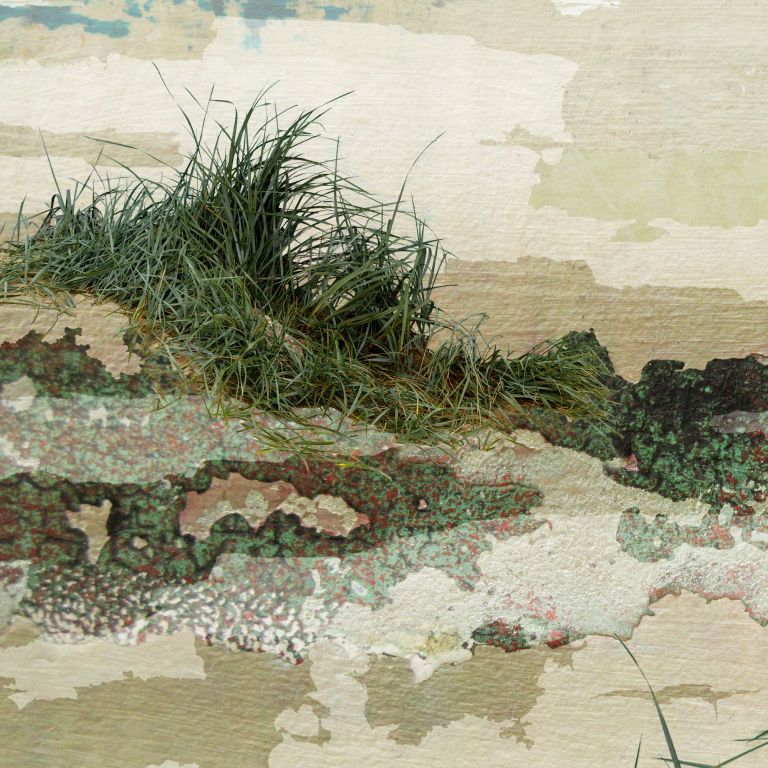 seascape detail, photomontage, digital collage, detail, beach art, coastal art, digital collage