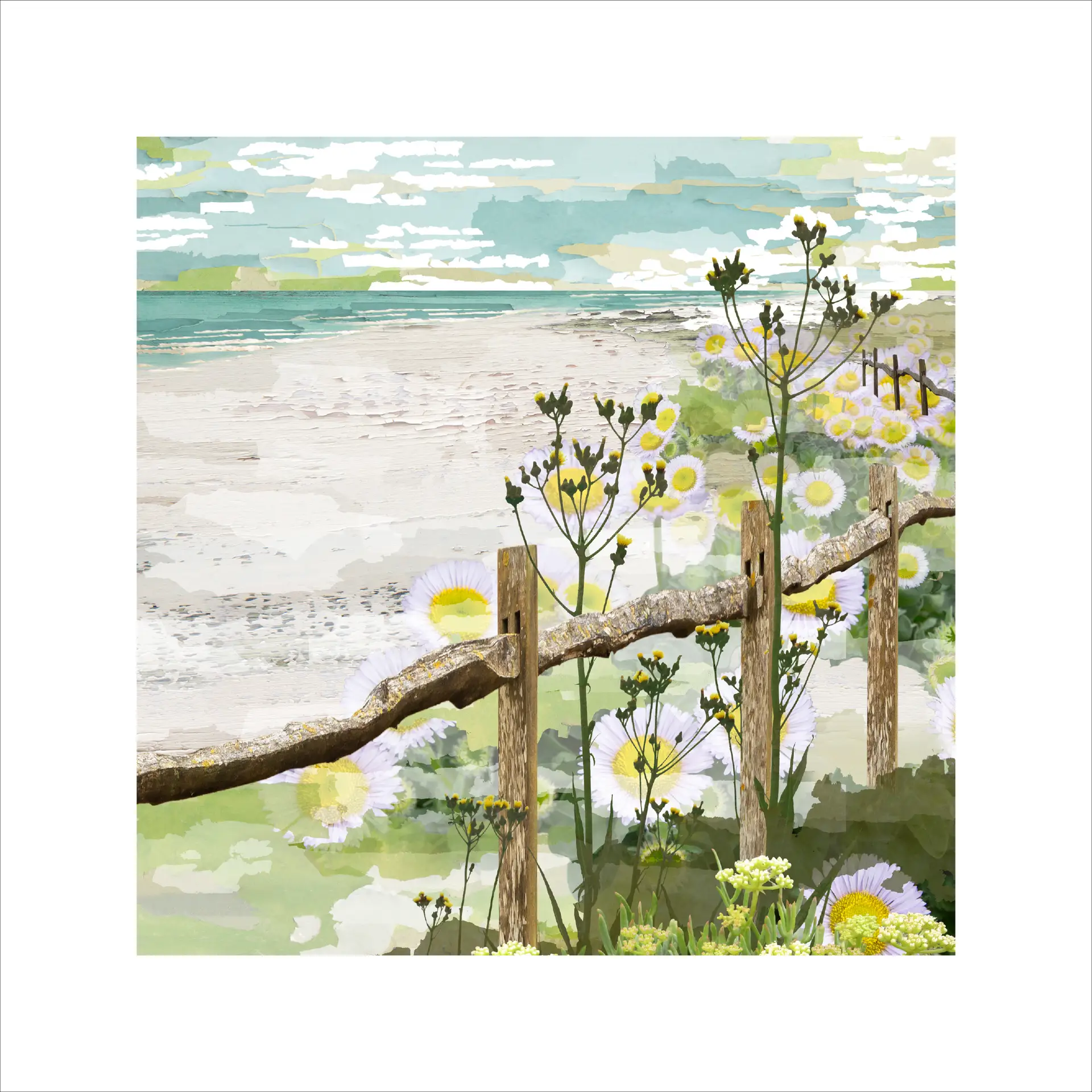 daisy haze, daisies, flower art, beach art, coastal print, seascape print, green art, bay view, beach scene, sussex fence, coastal art