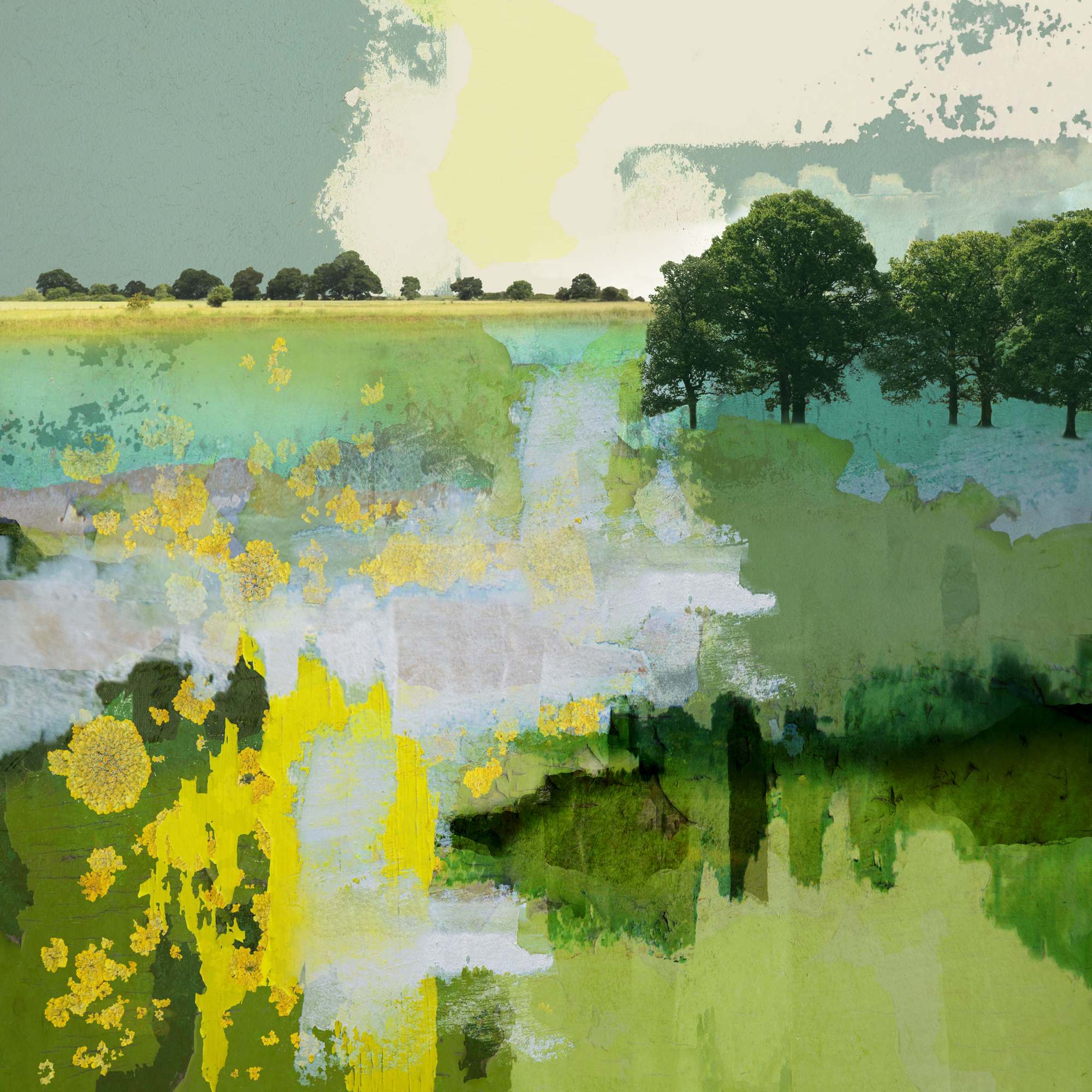 greeting card, fine art card, digital collage artist, Claire Gill, trees capes, landscape photography, landscape art, landscape rpint, limited edition print, fine art prints, buy fine art prints, green
