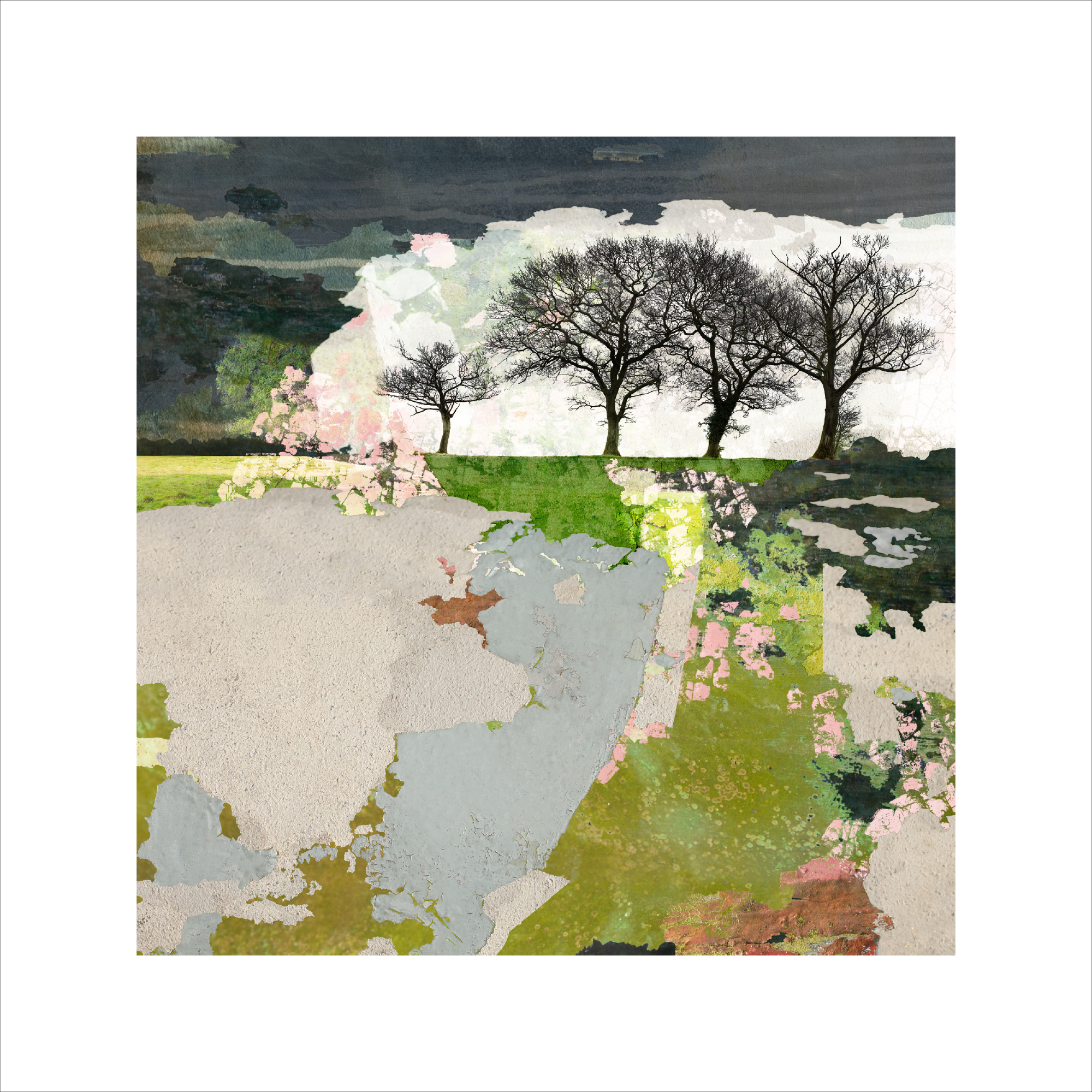 Claire Gill, Treescapes, limited edition print, emergence, landscape, abstract landscape, trees, digital collage artist, digital photomontage,hahnemuhle cotton rag,