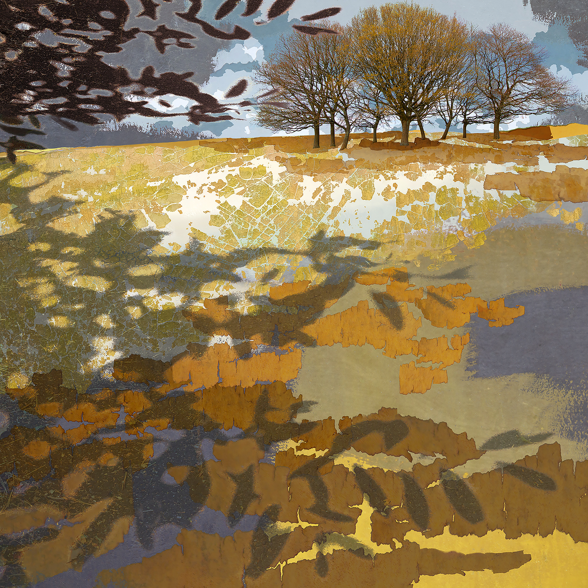 landscape print, autumn print, brown and yellow, trees cape, claire gill, contemporary photomontage, digital collage, contemporary landscape print