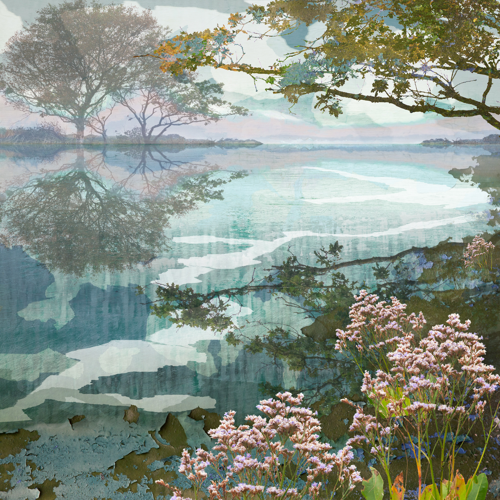 treescape card, greeting card, landscape card, fine art card