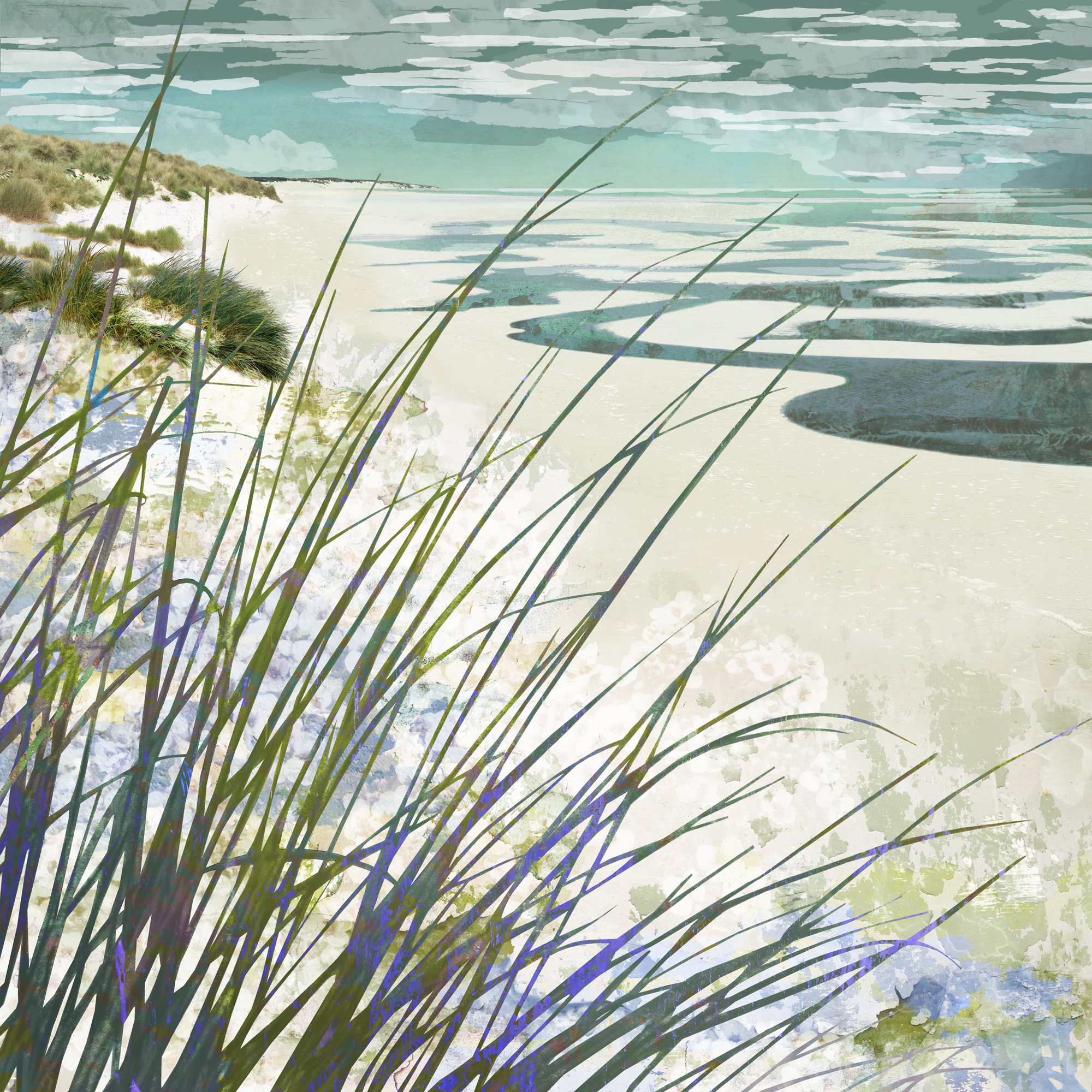 camber sands, beach card, fine art card, dune grass, buy card