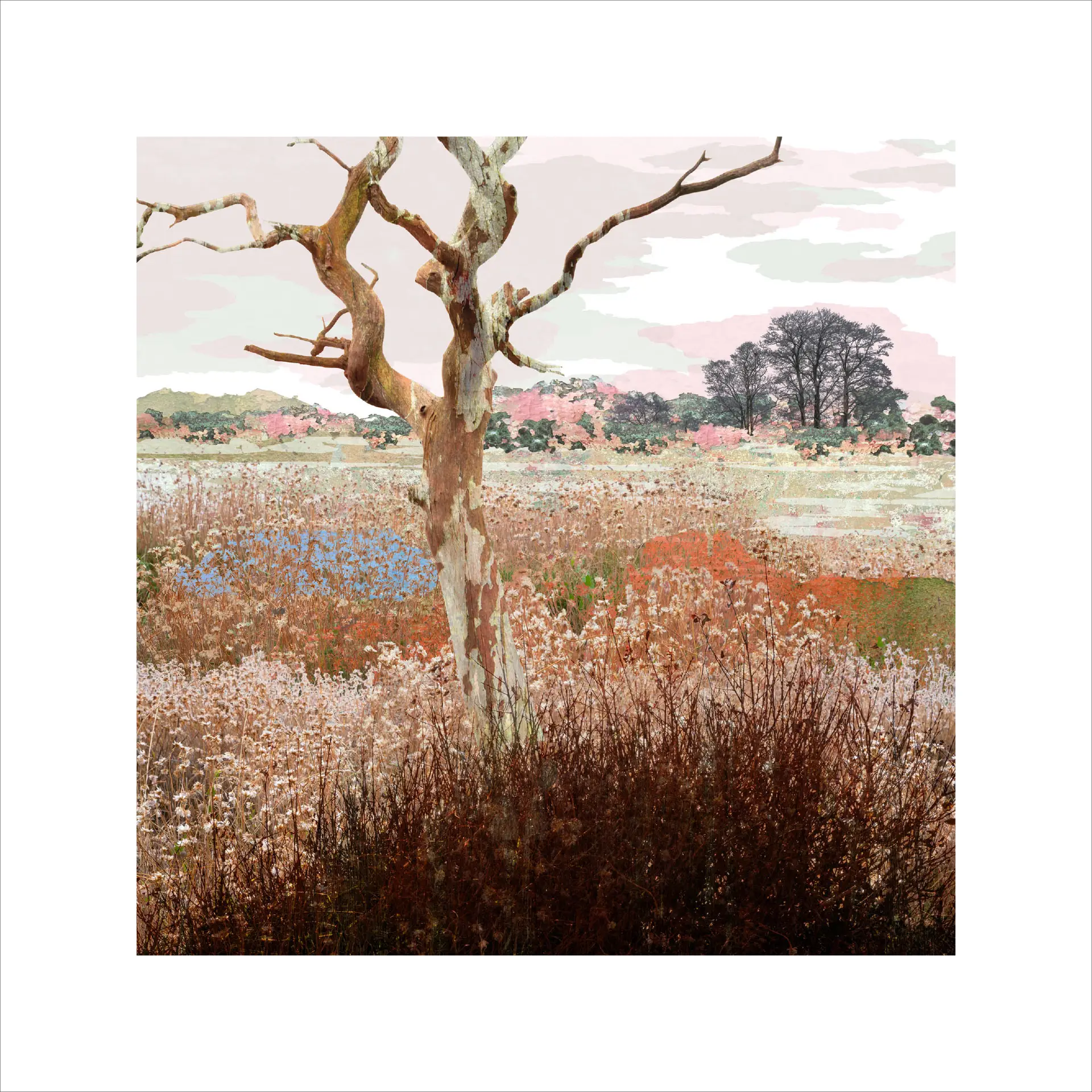 The Bare Bones, Seleton Tree, Suffolk print, suffolk landscape, limited edition print, claire gill, fine art print, collect prints