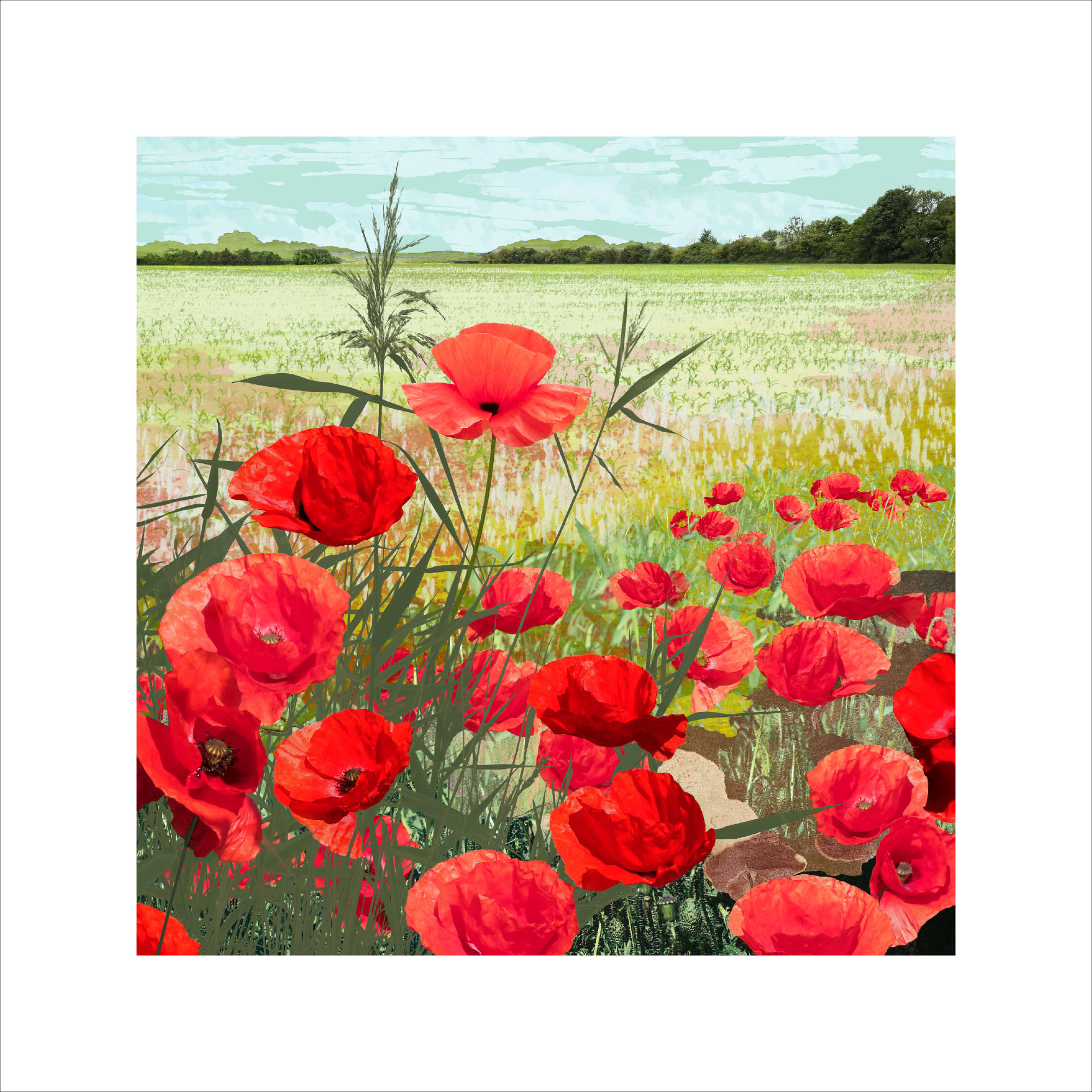 Limited edition print depicting bright red poppies in a landscape, fine art print for sale, limited edition digital print