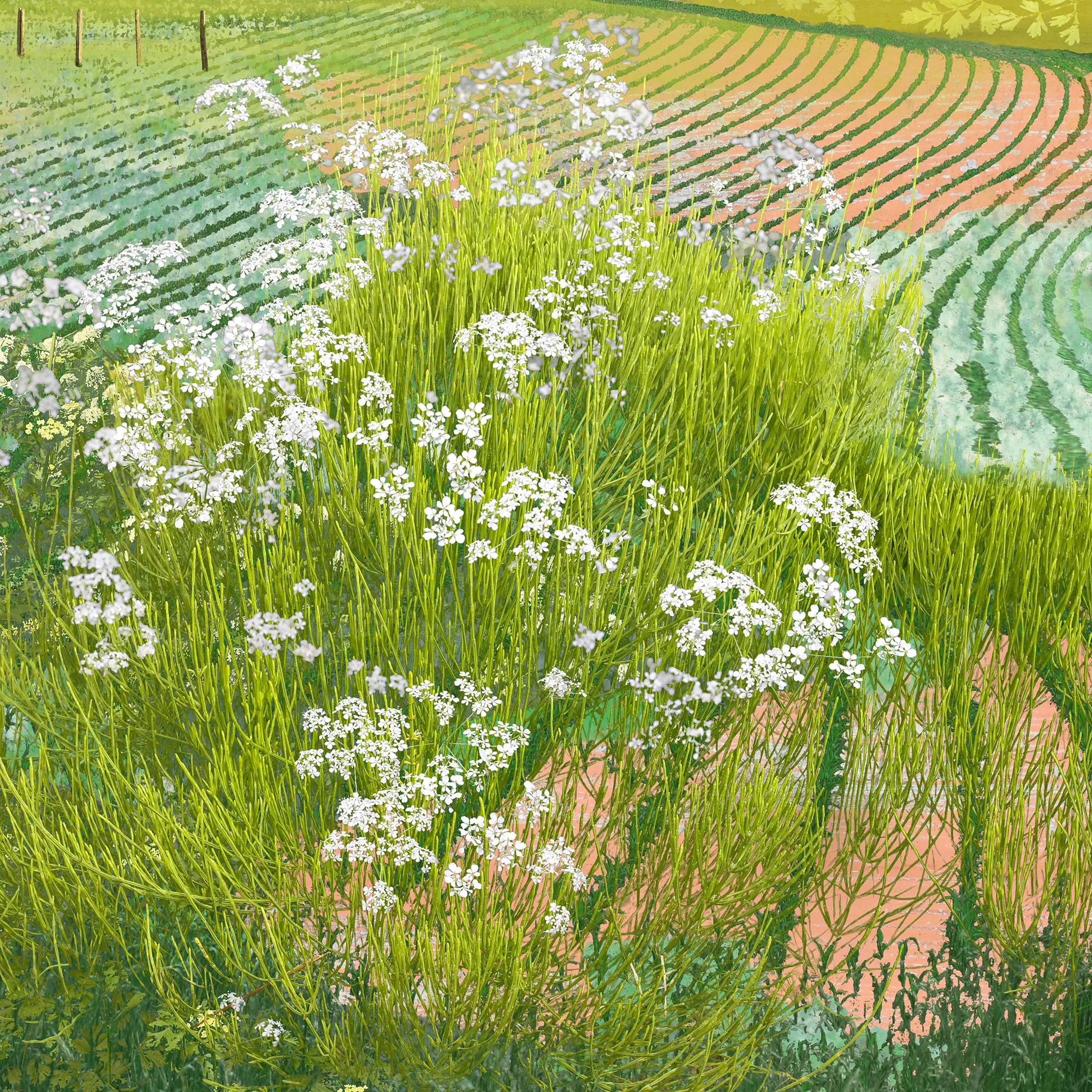 landsacep print detail, digital photomontage