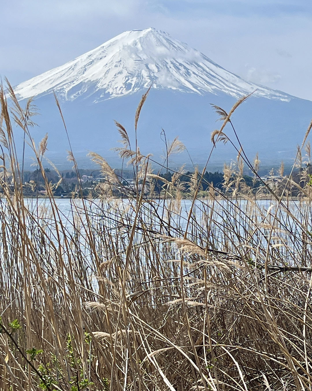 Mount Fuji