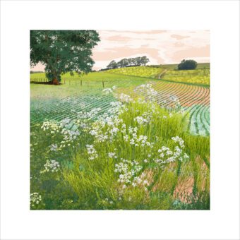 Rolling Fields Landscape Print, limited editoin collecatble fien art landscape print by Claire Gill