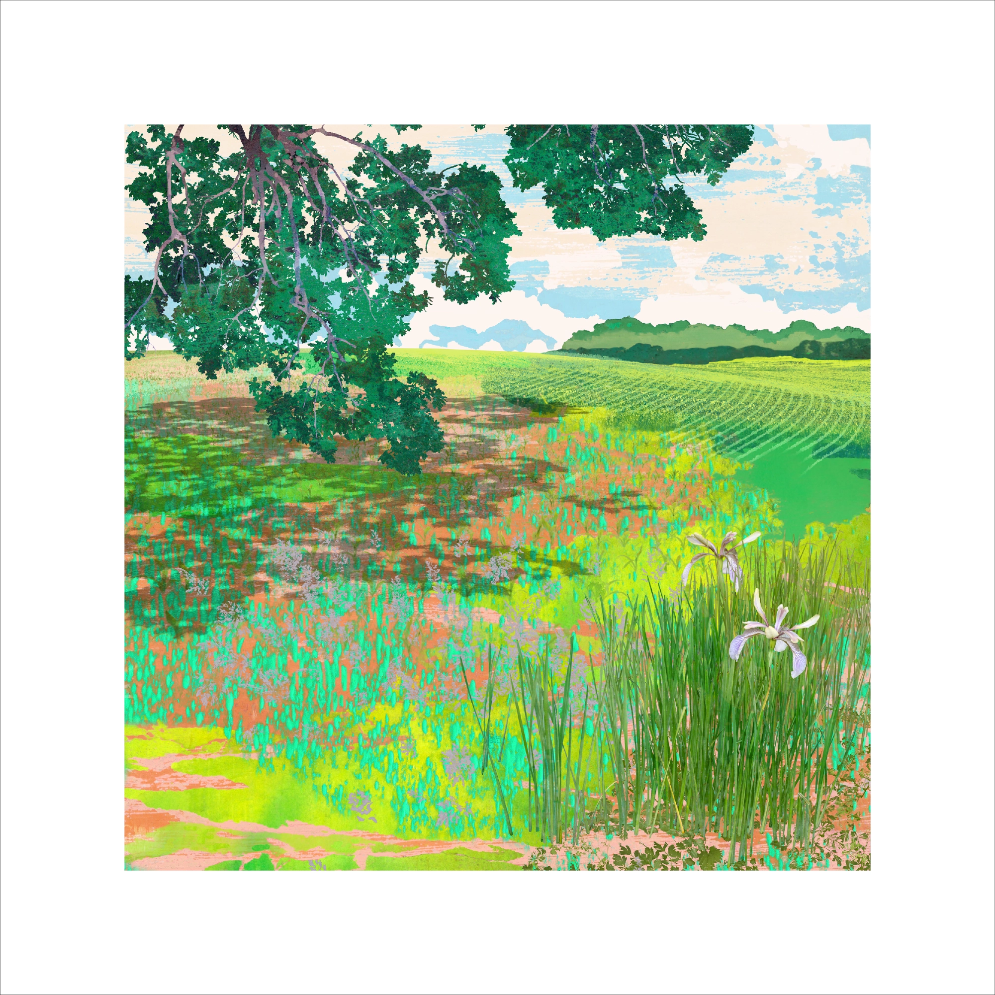 Vivid Green Shady Tree Photomontage Art Print, limited edition fine art landscape print