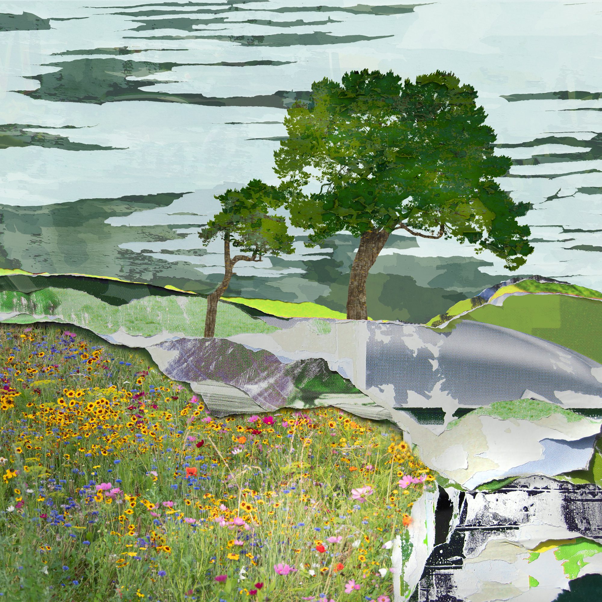 Sprung | Limited Edition Spring Countryside Print - Image 2
