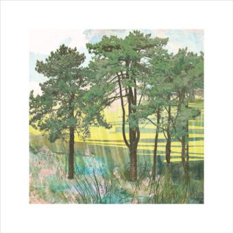Summer Copse limited edition tree art print by Claire Gill