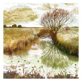 Amber & Rust autumn landscape print by Claire Gill
