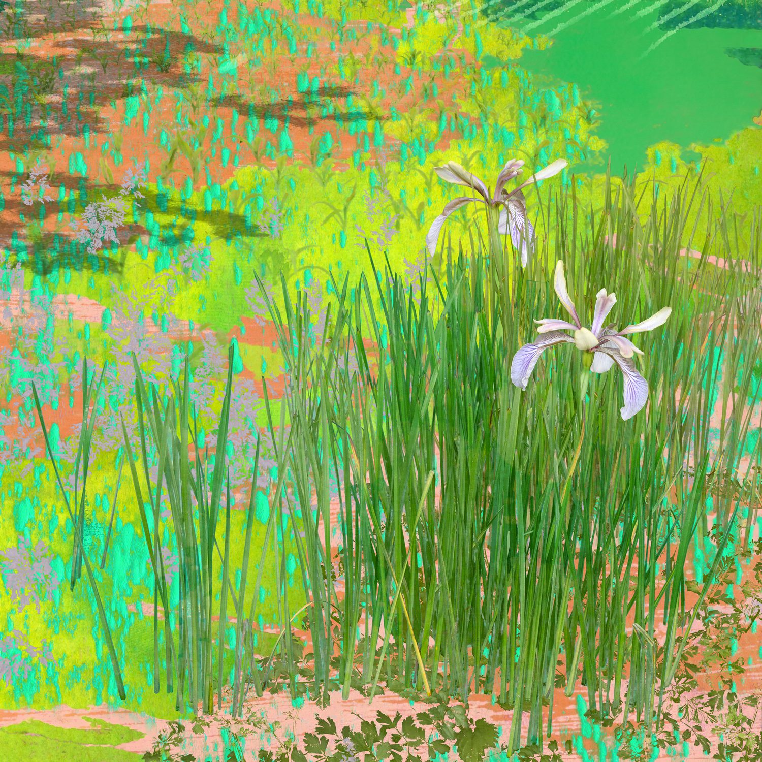 Detail of Momentary showing layered green grasses and pale wildflowers