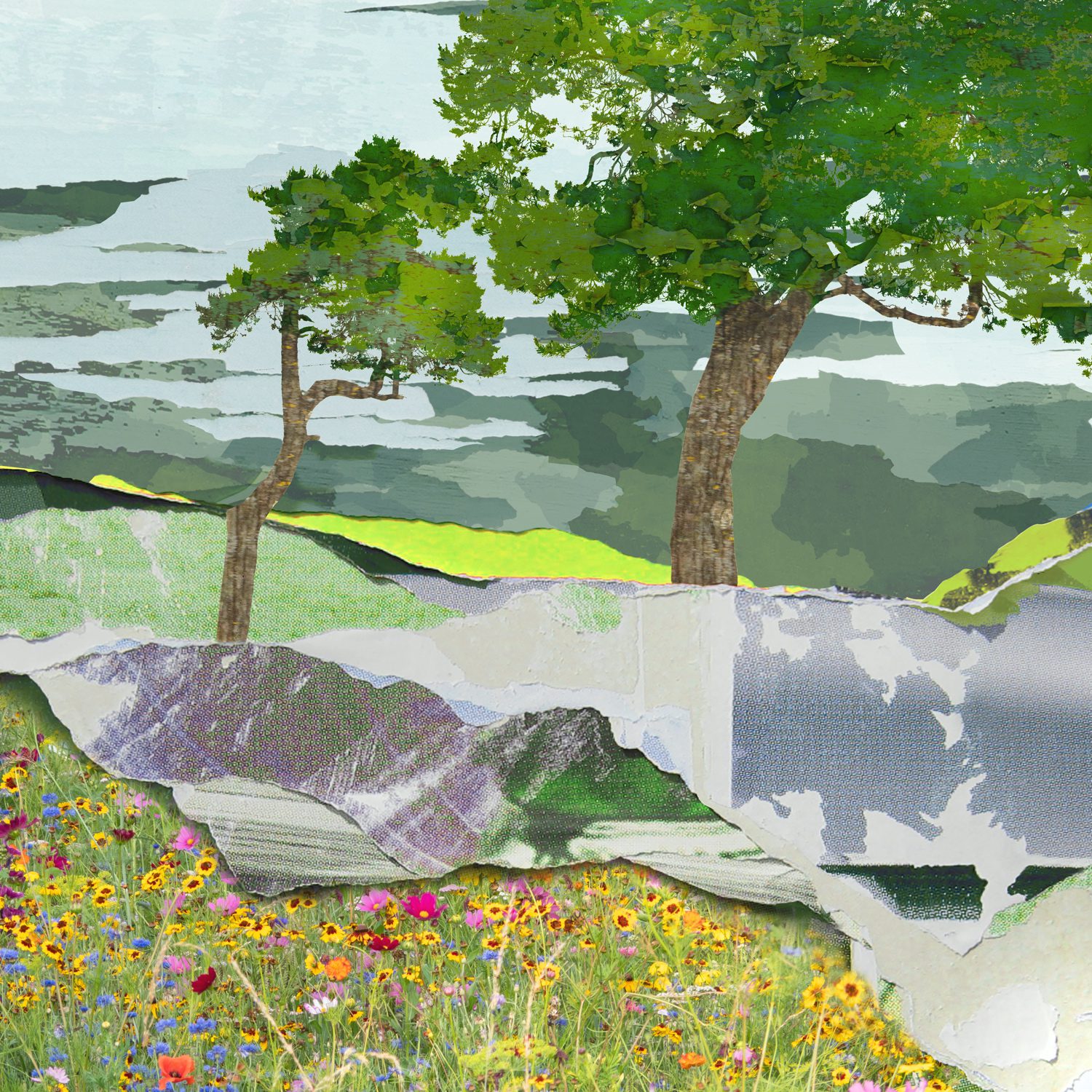 Close-up detail of green trees, wildflowers and layered textures in Sprung by Claire Gill