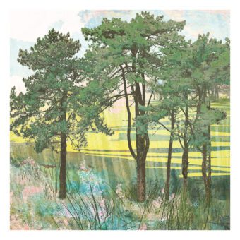 Summer Copse woodland landscape print by Claire Gill