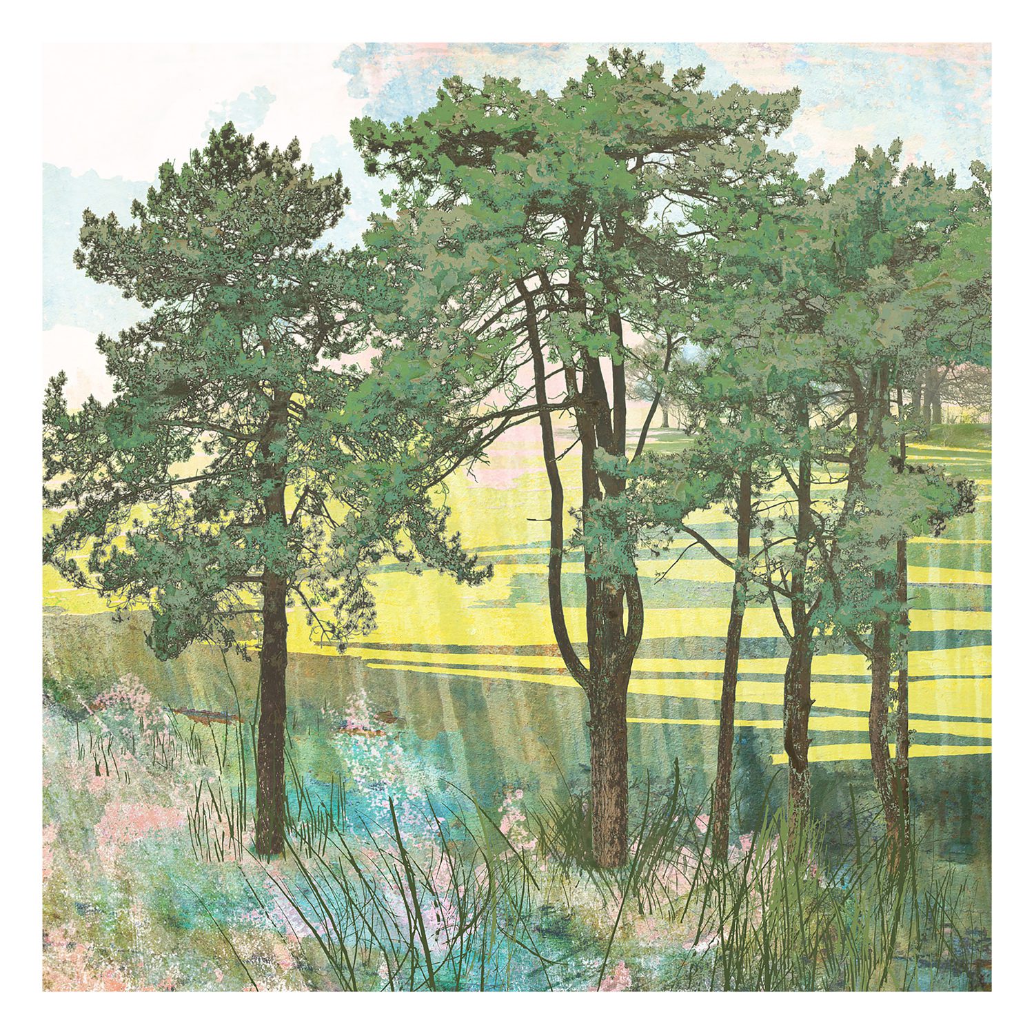 Summer Copse woodland landscape print by Claire Gill